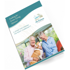 Download The Cabana at Jensen Dunes Assisted Living resource guide to learn more about our Florida senior living community. 